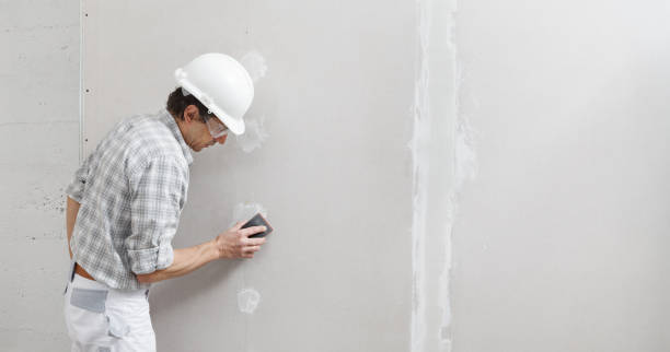  Rainbow Park, FL Dry wall and painting Pros